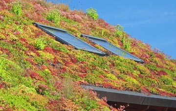 Tatenhill living roof systems
